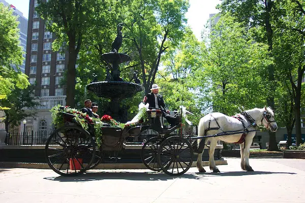uptown carriages memphis proposal on carriage