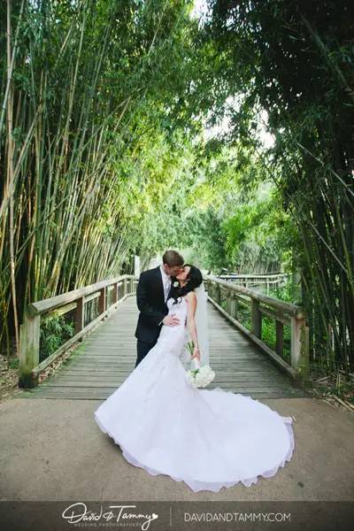 Memphis zoo wedding 029