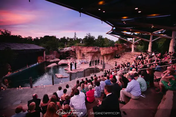 memphis zoo weddings