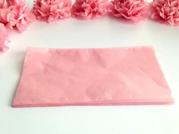 DIY Tissue Paper Flower Tutorial Step 2