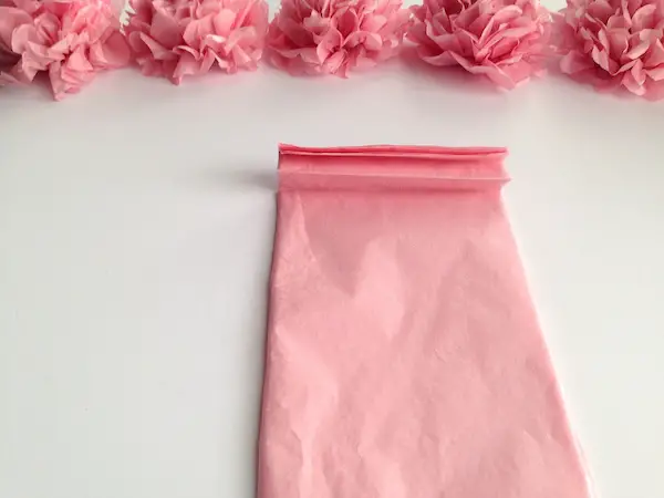 fanning the tissue paper creates petals