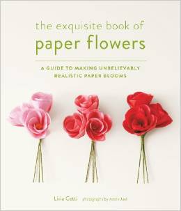 exquisite book of paper flowers