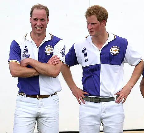 prince william and prince harry visit memphis