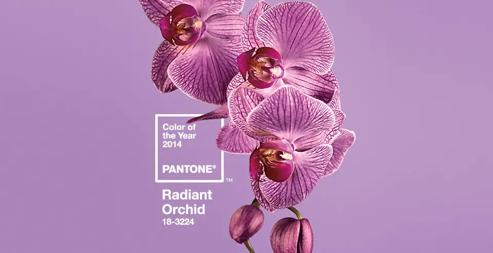 2014 color of the year
