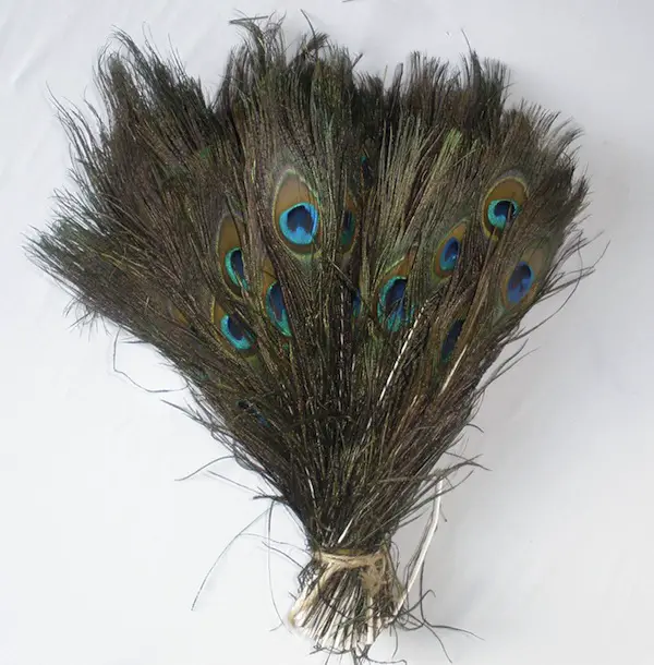 peacock feathers for wedding decoration