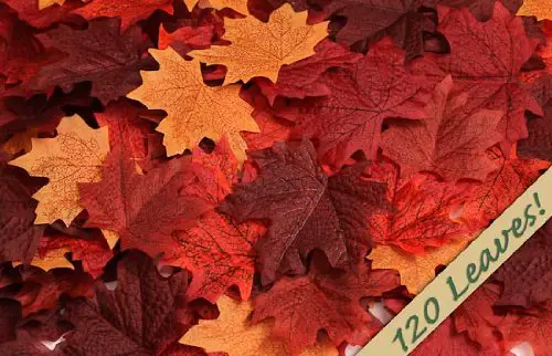 fall maple leaves for wedding