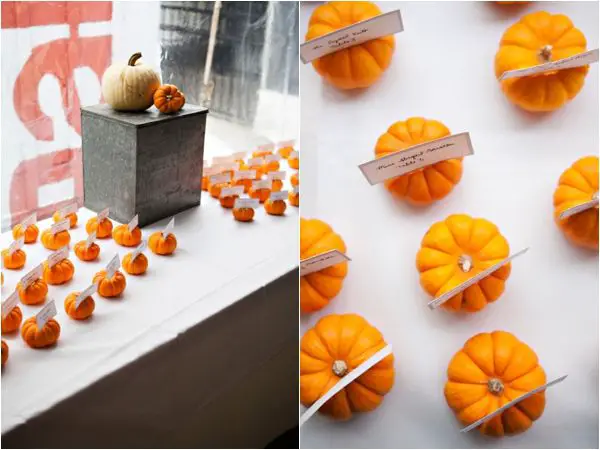 mini pumpkin escort cards fall wedding