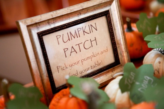 pumpkin patch mini pumpkin escort cards