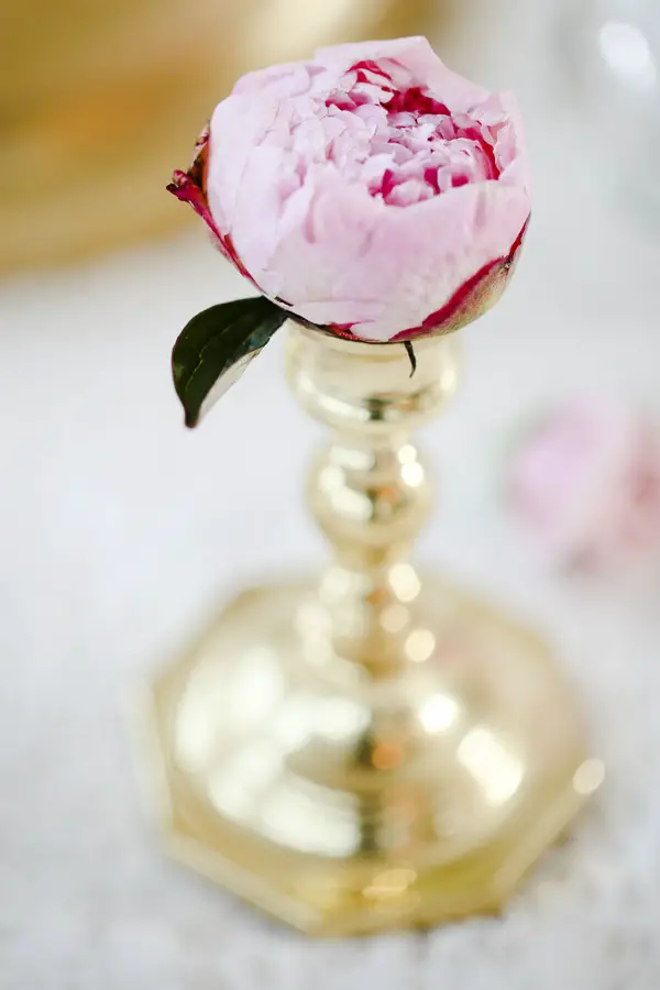 spring wedding romance inspiration - Lisa Price Photography - midsouthbride.com 30