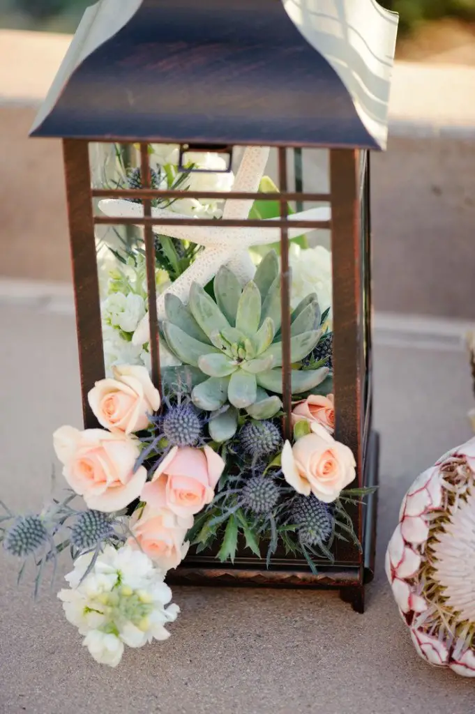 flowers and succulents inside lantern  