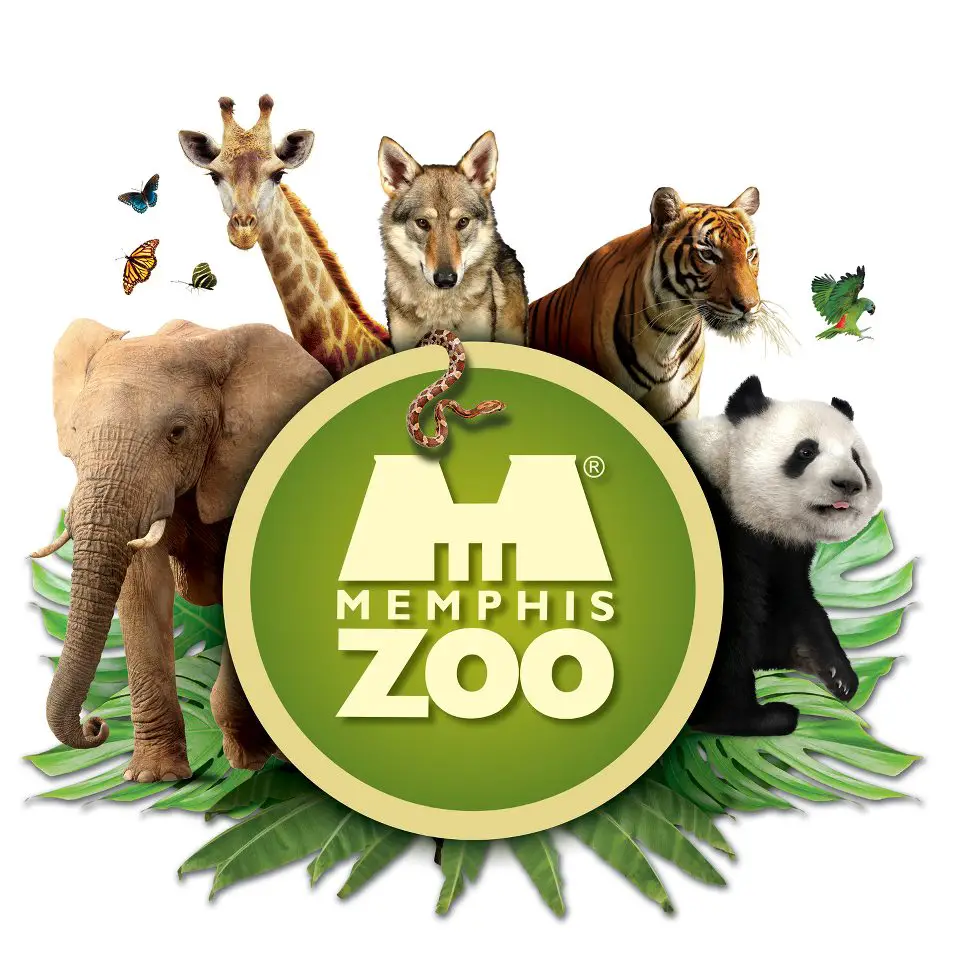 memphis zoo - mothers day gift idea