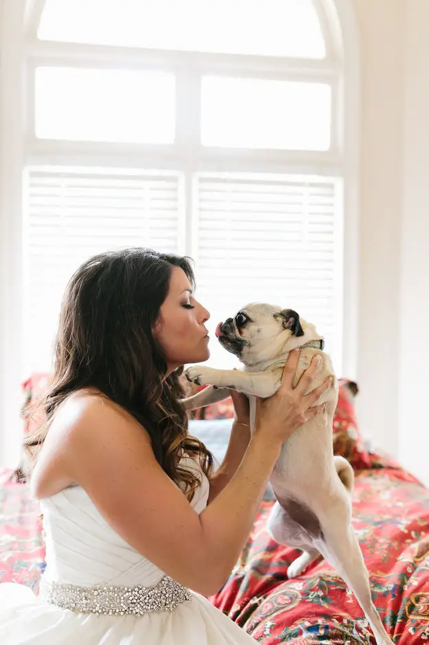 bride with dog at wedding - photo by Kelly Ginn Photography - midsouthbride.com