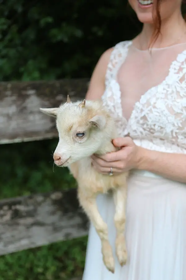 farm bridal shoot from Confete Events in Mississippi weddings 3 - midsouthbride.com.JPG