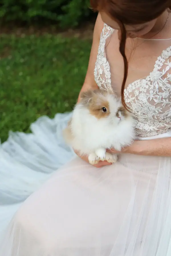 farm bridal shoot from Confete Events in Mississippi weddings 40 - midsouthbride.com