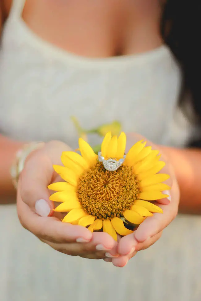 Tyler & Jessica's Sunflower Surprise Proposal in Mississippi  - Cassie Cook Photography - midsouthbride.com