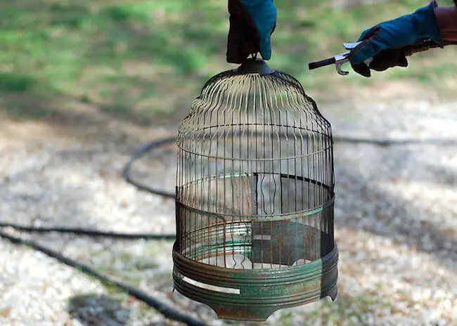 diy copper birdcage flower vase centerpieces cleaning