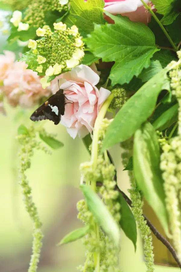 Brittany & JD's Rustic Tennessee Farm Wedding - photo by Ivory Door Studios - midsouthbride.com 21