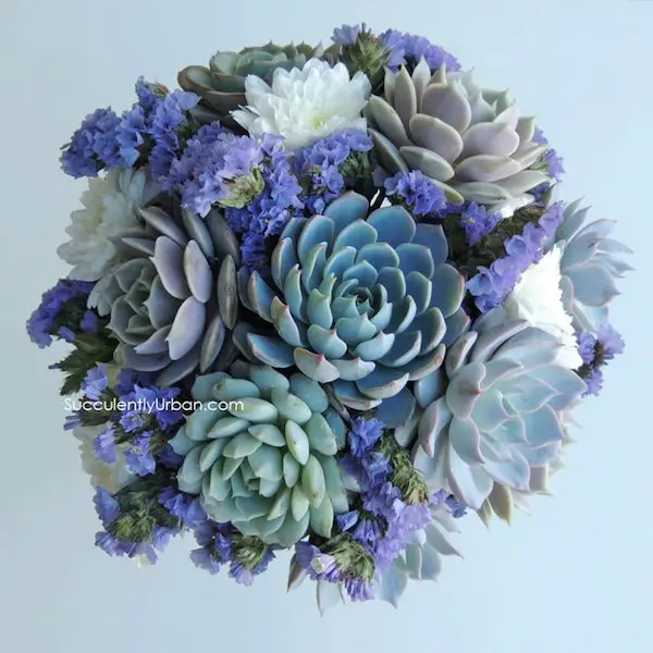 Succulent Wedding Bouquet by Succulently Urban - midsouthbride.com