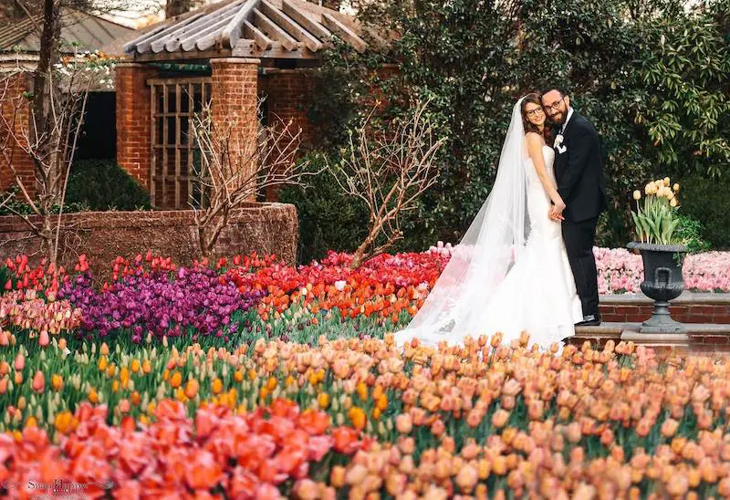 bride and groom in the tulips at Dixon Gallery & Gardens