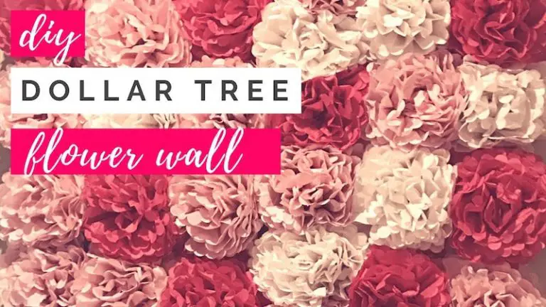 DIY Tissue Paper Flower Wall