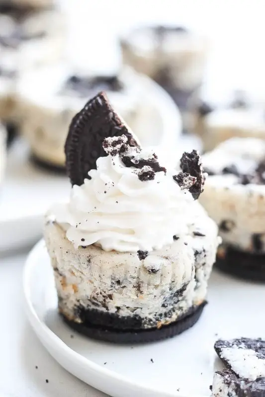 Mini Oreo Cheesecakes from Kathryn's Kitchen